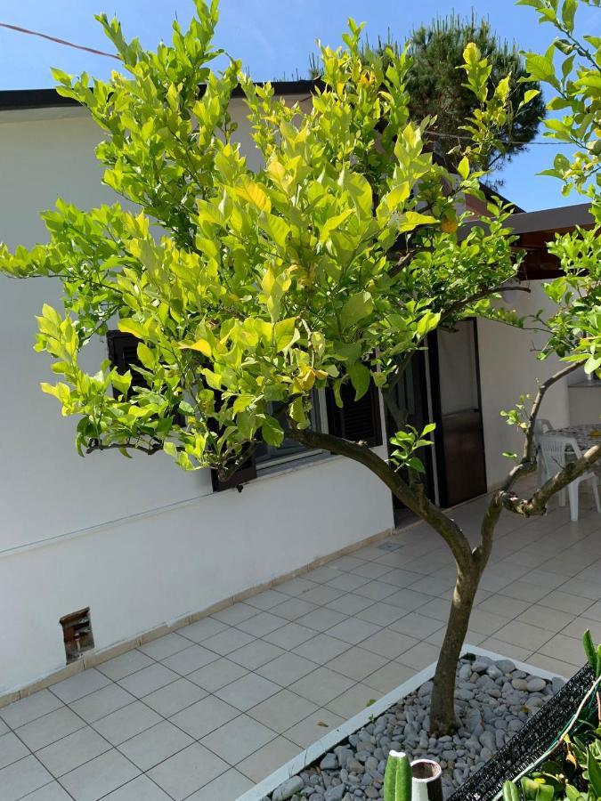 Quirino Residence Gaeta Exterior photo